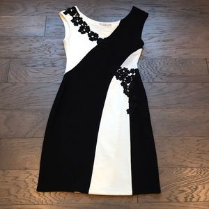 Yoana Baraschi Black and Ivory Dress